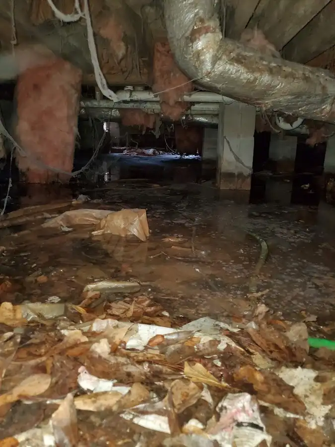 Crawl space flood assessment for Leak Detection & Repair in Lahaina