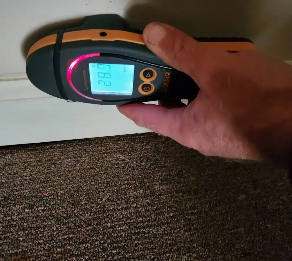 Moisture detection at baseboard during Burst Pipe Cleanup in Lahaina